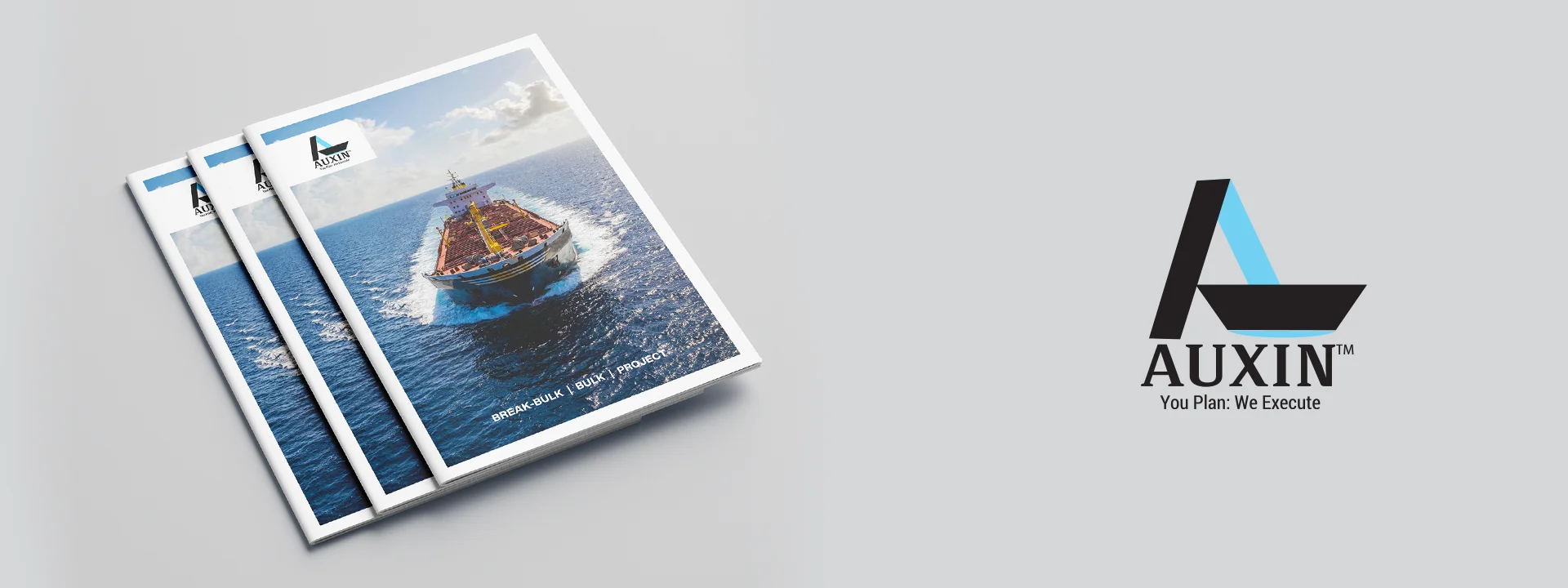 Project Feature Image